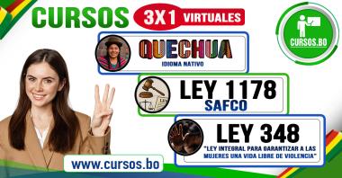 Curso QUECHUA BASICO - LEY 1178  y Ley 348 modalidad virtual