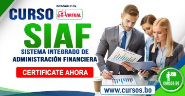 Curso SIAF Sistema Integrado de Administración Financiera - TIENDA