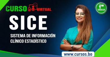 Curso SICE Sistema de información Clinico Estadístico - TIENDA