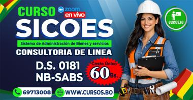 Curso DS 0181 SABS y SICOES para Consultores