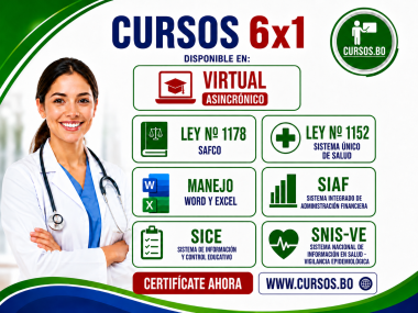 6 Cursos 1178 -  Ley 1152 - Manejo Word - Manejo Excel - SIAF - SICE y SNIS (Virtual asincrónico)