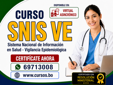 Curso SNIS VE Sistema Nacional de Información en Salud - Vigilancia Epidemiológica  (Virtual 24/7)