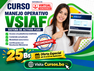Curso VSIAF - Manejo y disposición de Bienes de Activos fijos (Virtual 24/7)